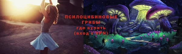 эйфоретик Нефтекумск