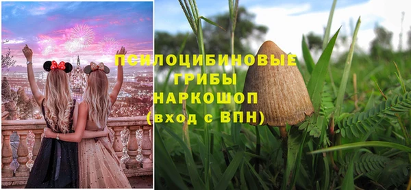гидропоника Надым