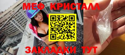 стафф Гай
