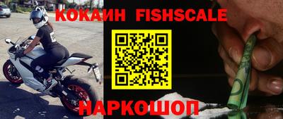 гидропоника Гатчина