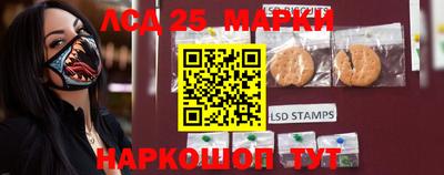 стафф Гай