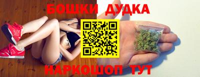 стафф Гай