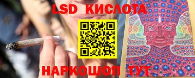стафф Гай