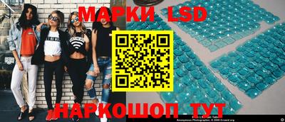 гидропоника Гатчина