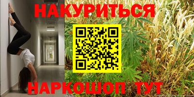 стафф Гай