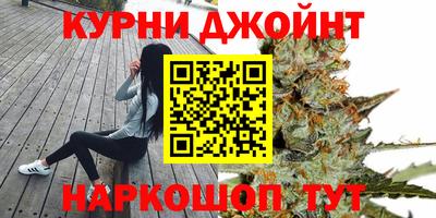 гидропоника Гатчина