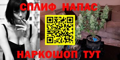 стафф Гай